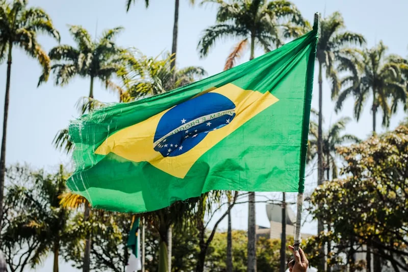 Brazilian tax documents