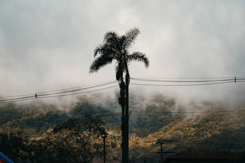 Brazilian winter landscape